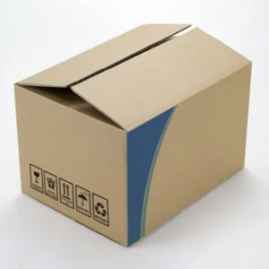 Custom Logo-Printed 5-Layer Corrugated Paper Shipping Carton Packaging Box