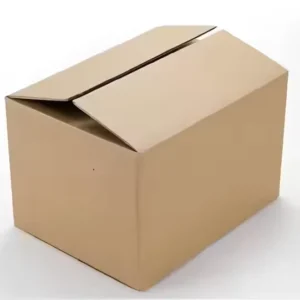Custom Logo Printed Brown Recyclable Corrugated Mailer Carton Box