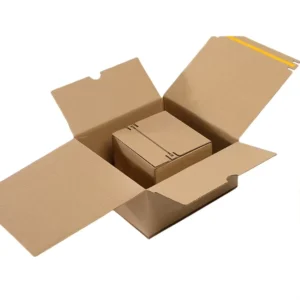 Custom Logo Printed Eco-Friendly Corrugated Cartons for Mailing and Gift Delivery