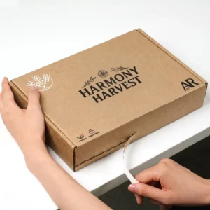 Custom Logo Printed Kraft Corrugated Foldable Airplane Mailer Gift Box for Clothing and Shoes