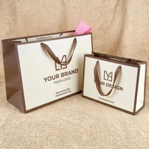 Custom Logo Printed Laminated White Cardboard Shopping Bag for Apparel and Gift Packaging
