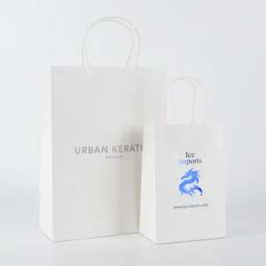 Custom Logo Printed OEM ODM Eco Friendly Recyclable Small Large Twisted Paper Handle Boutique Takeaway White Cardboard Paper Bag
