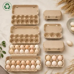 Custom Logo Printed Paper Egg Tray 6/12/30 Cells Biodegradable Molded Pulp Egg Box for Retail Chicken Egg Packing