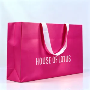 Custom Logo Printed Shopping Paper Bag for Boutique Clothing and Shoes, Washable