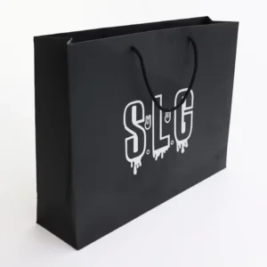 Custom Logo Printed White Boutique Shopping Clothes Paper Bag with Ribbon Handle