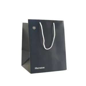 Custom Logo Printed White Card Paper Shopping Bag with Handles for Retail and Gifts