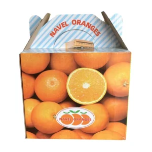 Custom Logo Printing Corrugated Fruit Packing Paper Carton Box