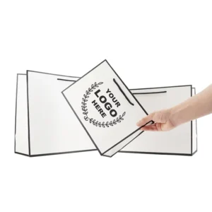 Custom Logo Printing White Card Paper Gift Bags with Black Rope Handles for Luxury Retail Boutique Packaging