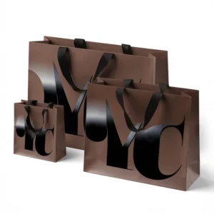 Custom Logo Recyclable Laminated Paper Shopping Bags for Boutique Clothing and Supermarket Retail