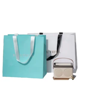 Custom Logo Rigid Art Paper Gift Packaging Bags with Ribbon Handles, Recycled Materials, for Shoes and Underwear