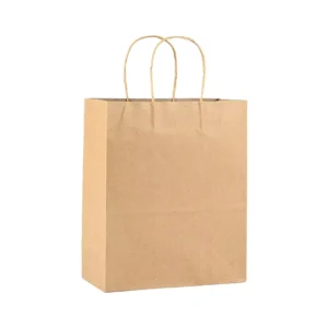 Custom Logo Screen Printed Hand Length Eco Friendly Recyclable Kraft Paper Bags White Brown Gift Shopping Takeaway Retail