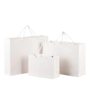 Custom Logo White Card Paper Shopping Bag for Shopping and Takeaway