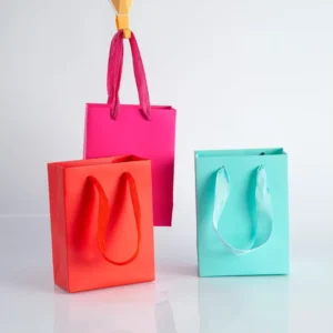 Custom Luxury Printed Your Own Logo Shopping Paper Bag for Clothing Packing Bag