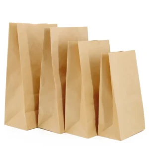 Custom Made Brown Takeout Fast Food Kraft Paper Bag for Restaurant Packaging