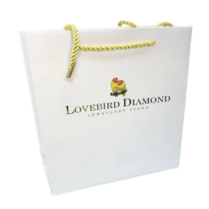 Custom Paper Bags for Men Women Clothing Store Gift Bags with logo White Card Fashion High End Handle Bags