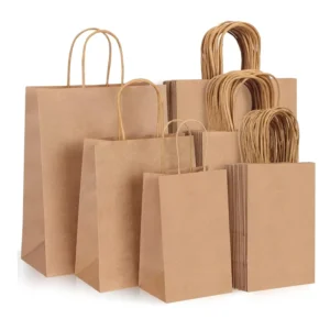 Custom Paper Bags for Shopping and To-Go Packaging