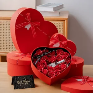 Custom Paper Gift Box for Gift Packaging and Shipping
