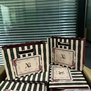 Custom Paper Shopping Bag for Packaging