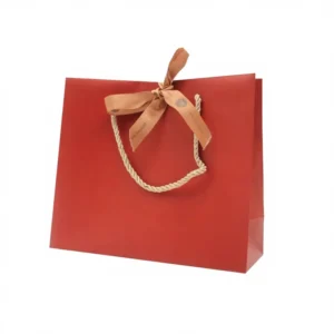 Custom Paper Shopping Bags with Bow