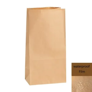 Custom Personalized Recyclable Kraft Paper Food Takeaway Bags for Pizza and Sushi