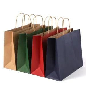 Custom Print Recyclable Twisted Handles Paper Shopping Bags with Multi Sizes