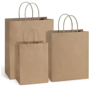 Custom Printed 100% Virgin Kraft Paper Bags for Takeout, Recyclable, with Custom Logo