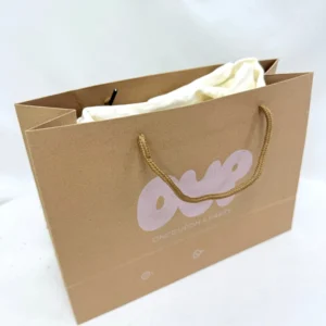 Custom Printed Biodegradable Brown Kraft Food Takeaway Gift Shopping Bags With Handle