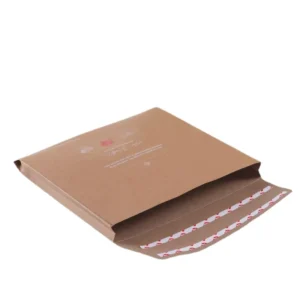 Custom Printed Biodegradable Kraft Paper Polymailer Shipping Bag for Clothing