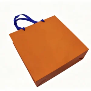 Custom Printed Biodegradable Waterproof Paper Bag with Cotton Rope Handles for Gift and Retail Packaging