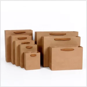 Custom Printed Brown Recycled Kraft Paper Shopping Bag with Handle for Gift Retail Clothing Store Packaging