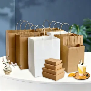 Custom Printed Classic Eco friendly Kraft Paper Bag Twisted Rope Handles Recyclable Biodegradable Waterproof Durable Disposable