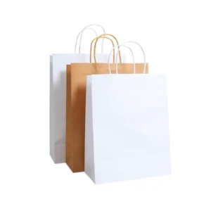 Custom Printed Colorful Recycled Brown Kraft Paper Shopping Bags with Ribbon Handles and Lamination