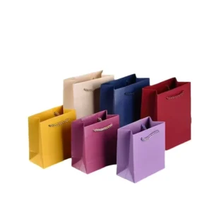 Custom Printed Colorful Shopping Gift Packaging Paper Bag