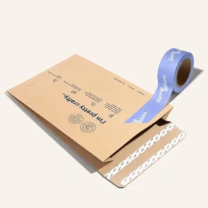 Custom Printed Corrugated Biodegradable Kraft Paper Clothing Mailing Envelope Bag