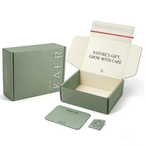 Custom Printed Corrugated Cardboard Mailer Gift Box with Tear Strip and Self-Sealing Folding Design