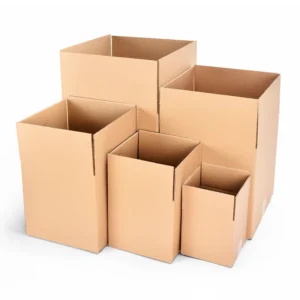 Custom Printed Corrugated Carton Packaging