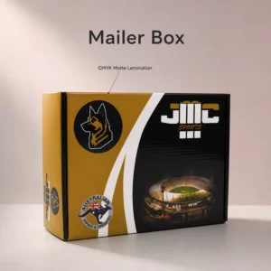 Custom Printed Corrugated Mailer Box for Shoes and Clothes Recyclable Logo Shipping Packaging