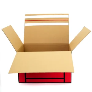 Custom Printed Corrugated Shipping Box for Packaging