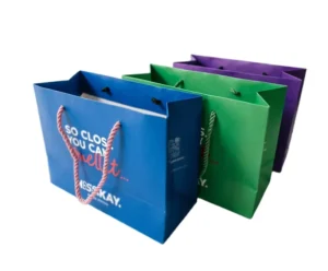 Custom Printed Eco-Friendly Kraft Paper Shopping Bags with Logo