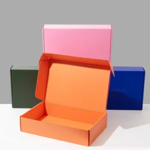 Custom Printed Eco-Friendly Recyclable Biodegradable Cardboard Mailer Shipping Box