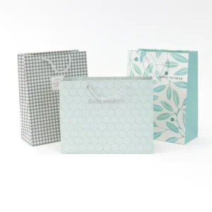 Custom Printed Gift Garment Clothing Boutique Paper Shopping Bags, Custom Logo