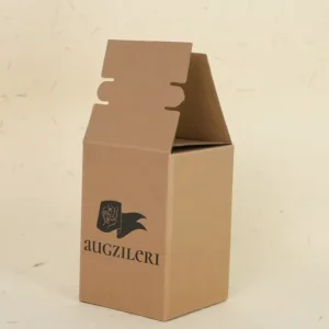 Custom Printed Kraft Paper Folding Carton Box with Self-Lock Closure for Gift Packaging