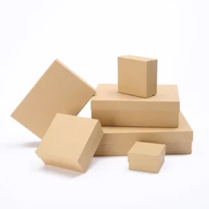 Custom Printed Kraft Paper Food Gift Box