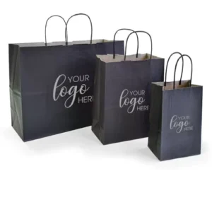 Custom Printed Kraft Paper Gift Bag with Handle Eco Friendly Shopping Retail for Boutique Store