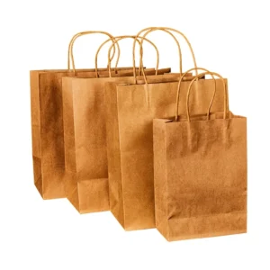 Custom Printed Kraft Paper Retail Shopping Gift Bag