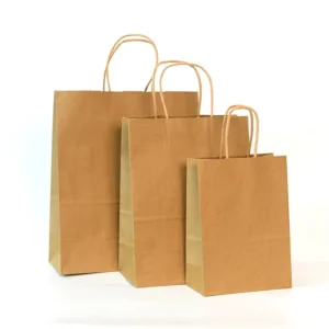 Custom Printed Kraft Paper Shopping Bags With Twisted Paper Handles Food Takeaway Gift Packaging Paper Bags in Stock