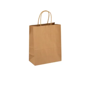 Custom Printed Kraft Paper Takeaway Bags with Twisted Handles
