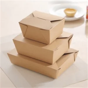 Custom Printed Kraft Paper Takeaway Food Box