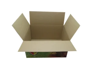 Custom Printed Large Corrugated Board Foldable Shipping Carton Box Moving Boxes