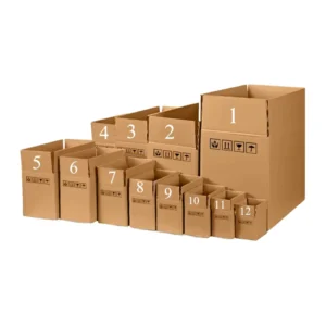 Custom Printed Large Corrugated Cardboard Moving and Storage Boxes